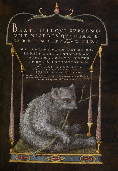 Een Luiaard door Joris Hoefnagel